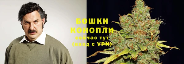 МДПВ Костерёво