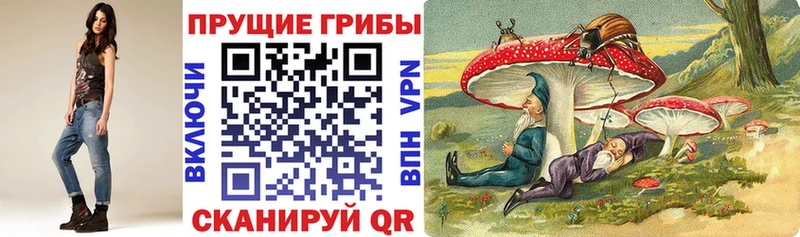 Купить где  Бодайбо  Псилоцибиновые грибы ЛСД 
